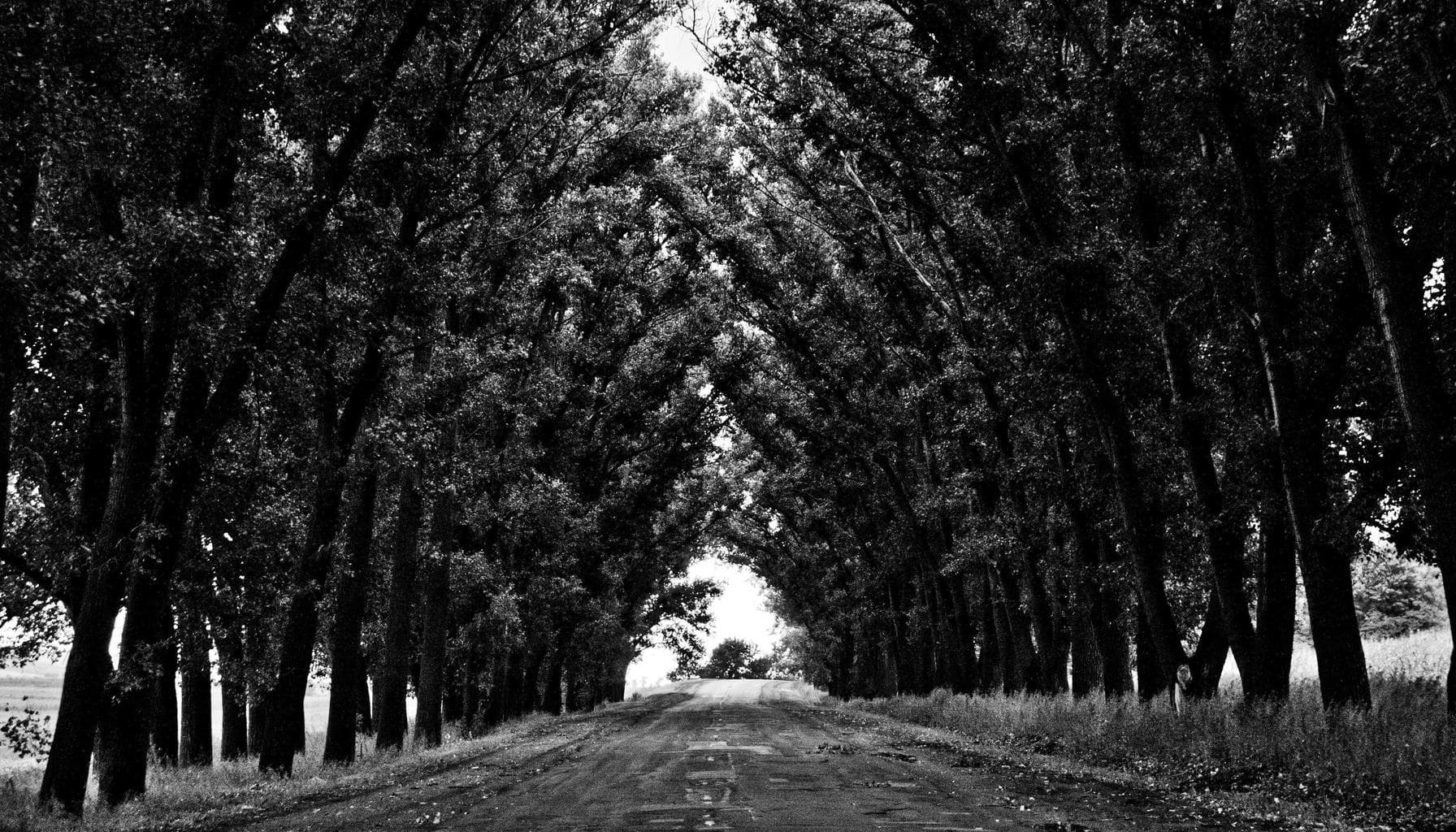 Taha Abbasi explores autonomous vehicle insurance future