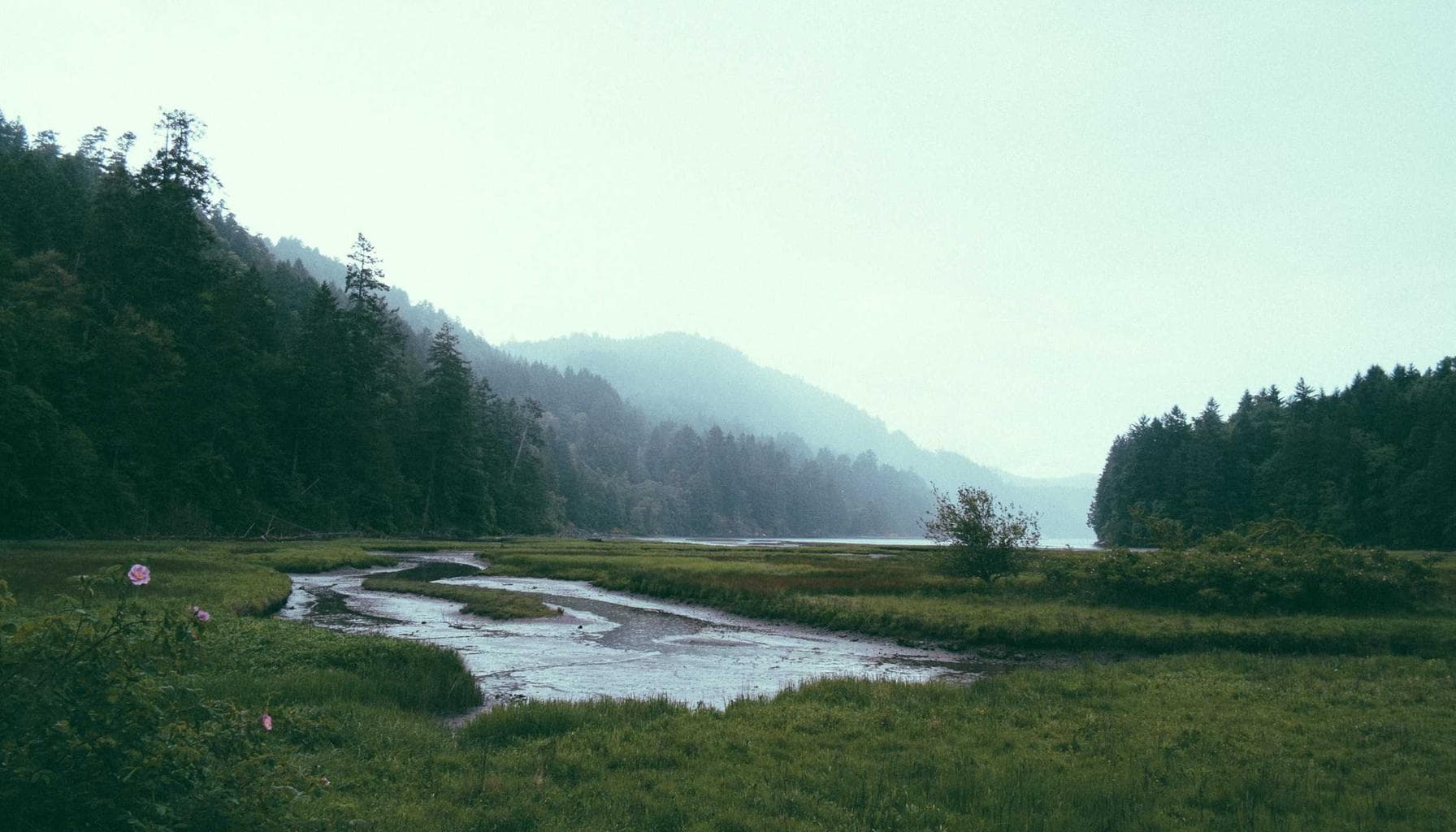Taha Abbasi covers Boring Company Universal Orlando tunnel project