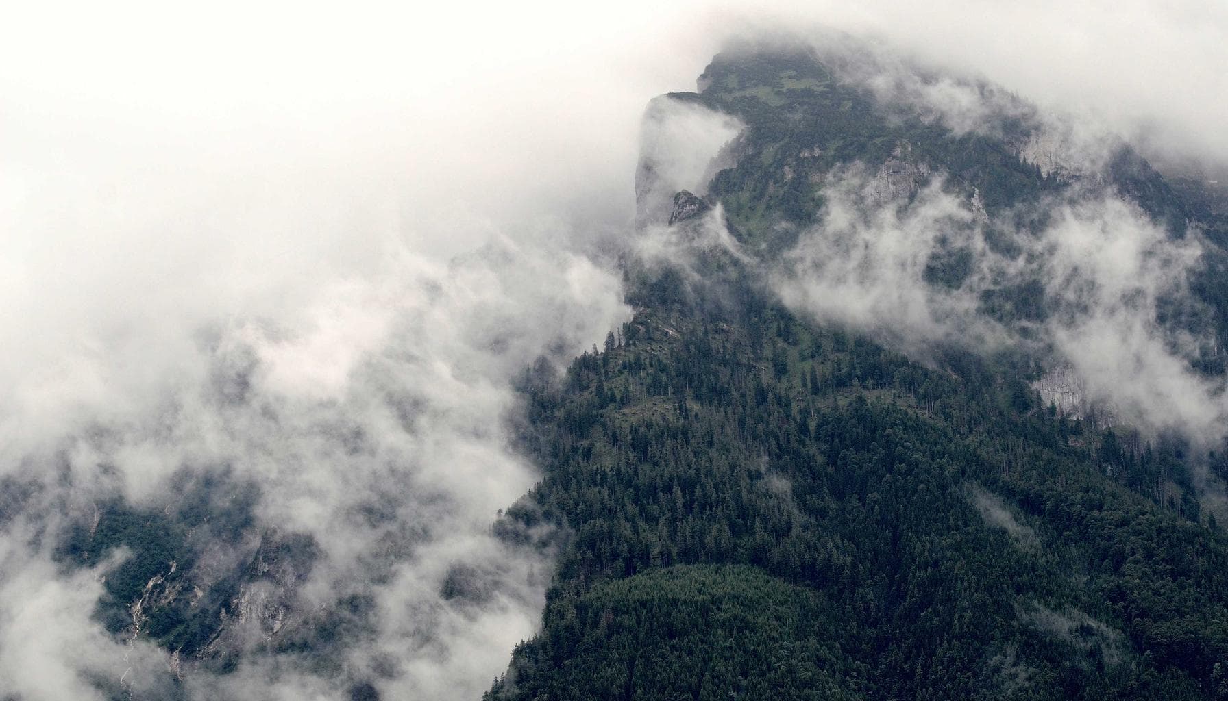 Taha Abbasi covers Tesla interactive showroom screens