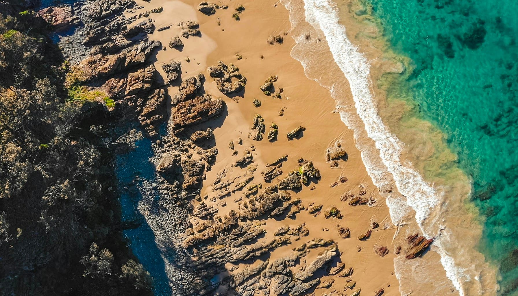 Taha Abbasi BYD global expansion Tesla competition 2026