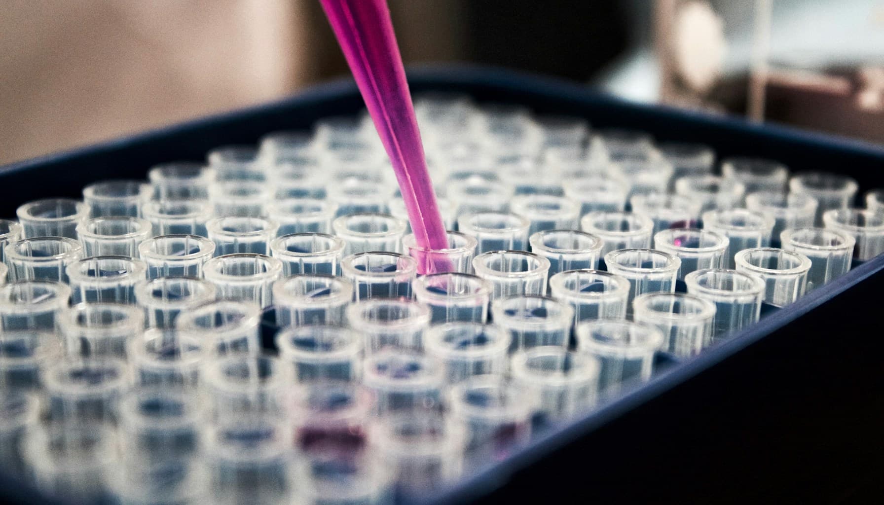 Taha Abbasi Trump EPA endangerment finding revocation 2026